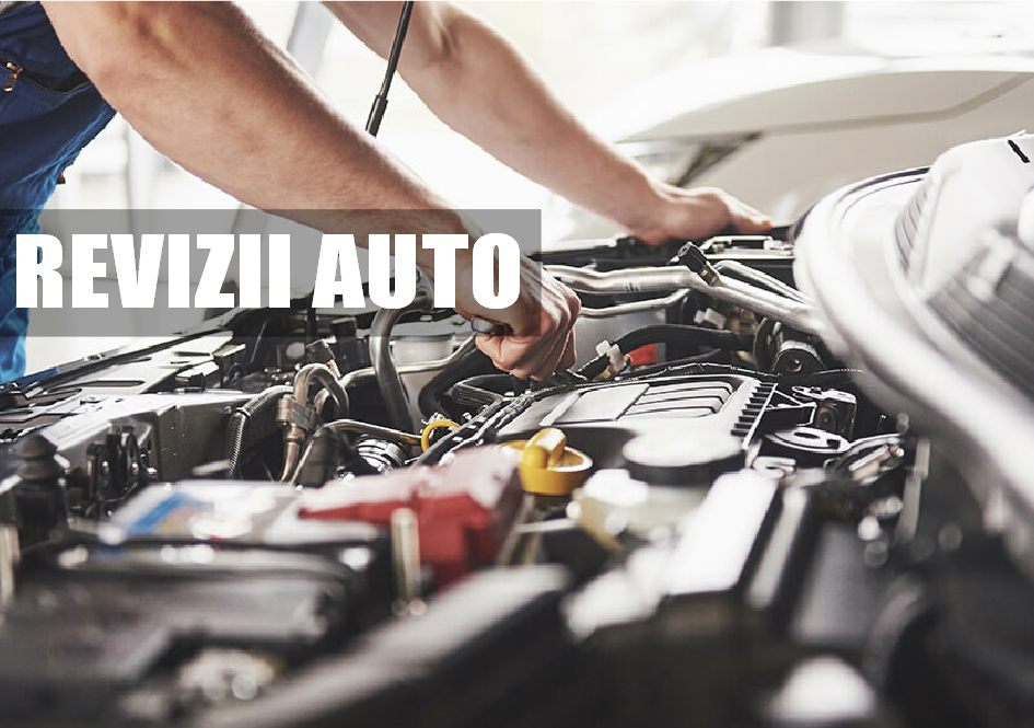 revizii auto